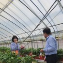 갈마농장 이미지