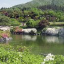 금강자연휴양림 이미지