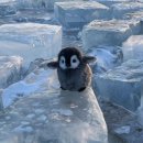 눈에미소안과의원 이미지