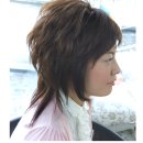 스왈로우 이미지