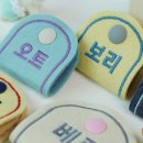 강아지클럽 이미지