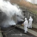 광산축산 이미지