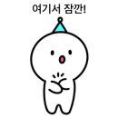 제주흑도야지 이미지