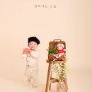 이름꽃사진관배곧점 이미지