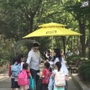 야탑초교 앞 이미지