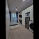 스테이 고대 이미지