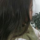 시저스닥터헤어살롱