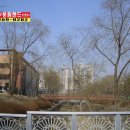 정자지구 주공APT 이미지