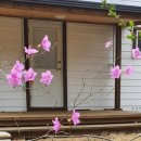 람쥐야 도토리 이미지