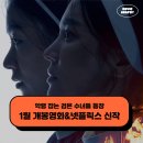 2025년 1월 개봉예정영화, 넷플릭스 영화 드라마 신작 추천