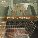 수달 화장실 이미지