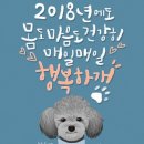 럭키스테이 이미지