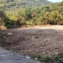 태경농장2 이미지