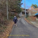 장고항1리 이미지