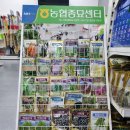 북광주농협 우치동지점 이미지