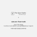 오브선