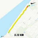임정애 | 2024 춘천마라톤 10k 참가, 코스 및 후기