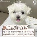 가랭이 화장실 네이버블로그