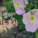 24. 9. 23(월) 사무엘하 19장, 고린도후서 12장 이미지