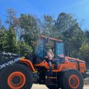 다영농장 이미지