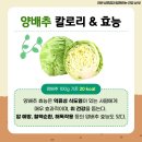 라반휘트니스성포점