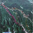 응암산+구룡포 근대화(일본인가옥)역사거리 이미지