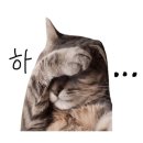 지리산오송펜션