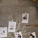 전주 파티원 돌잔치 풀패키지 후기 한복, 스냅, 선우웨딩, 성장동영상(셀프), 답례품