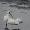 교하도서관(2) 이미지