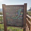 인천광역시 인천아시아드주경기장 보조경기장 이미지