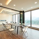 펫로스 케어 이미지