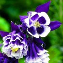 그리드제주 이미지