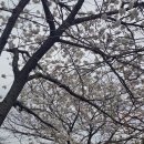 호근서호로 이미지