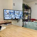 코리아 | 국내 제주 영어캠프 마더구스클럽코리아 후기