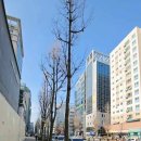 성모마디신경외과의원 이미지