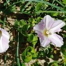 화원농장3 이미지