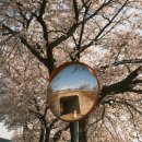 구지농업협동조합 동부지점 이미지