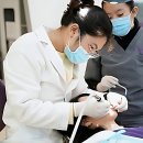 마석치과의원 | 저도 몰랐던 치아 속 비밀 이거 꼭 확인해야 했어요