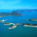 공룡의숨결 이미지