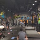 성남PT 크로스핏 태닝 | 성남크로스핏 부상 없이 운동하고 싶다면? 꼭 여기로!