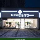 하남동물병원 더포레동물병원 주차 편리한 사랑으로 치료하는 곳의 이용 비용 안내