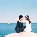 폐백이바지 이미지