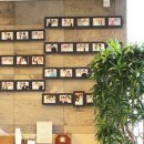 로하스한의원 이미지