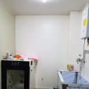 펫키우소 이미지