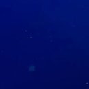 가수세천 이미지