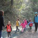 금부초병설유치원 이미지