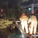 하모리-45 이미지