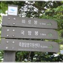 단양집민박 네이버블로그