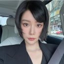클라라헤어 이미지
