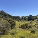 경북사 | 2026년 병오년 운세 진로 적성 - 안강 도흥사 사주상담